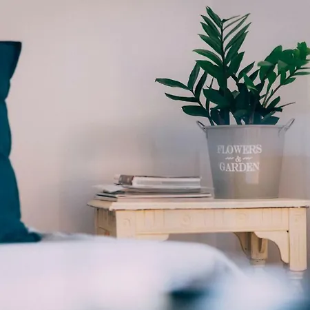 Apartment Comfy & Relaxing