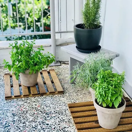 Comfy & Relaxing Appartamento *